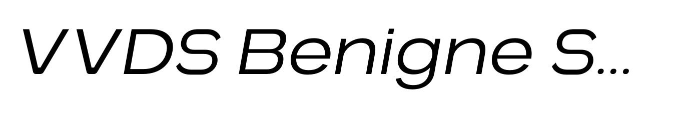 VVDS Benigne Sans Extra Light Italic